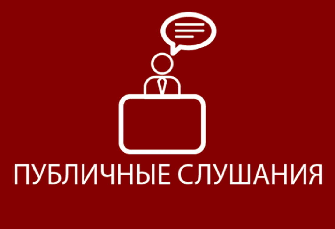 Публичные слушания 15 мая 2024 года.