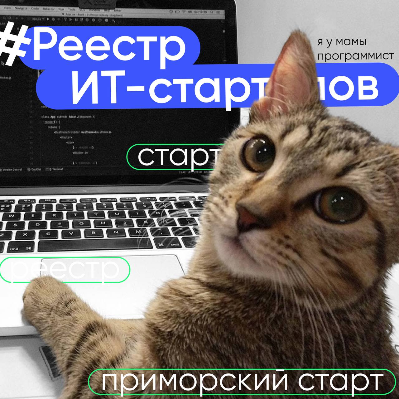 Слышали про Реестр ИТ-стартапов Приморья?.