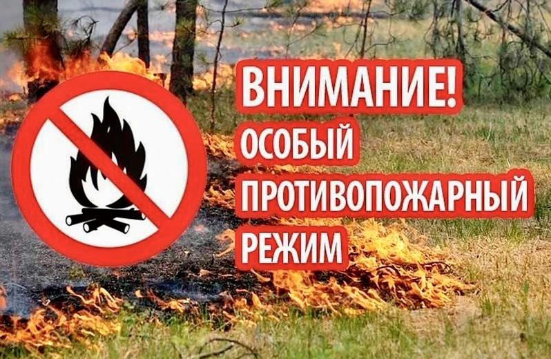 с 14 мая 2025 года на территории Михайловского муниципального округа,  введен Особый противопожарный режим..