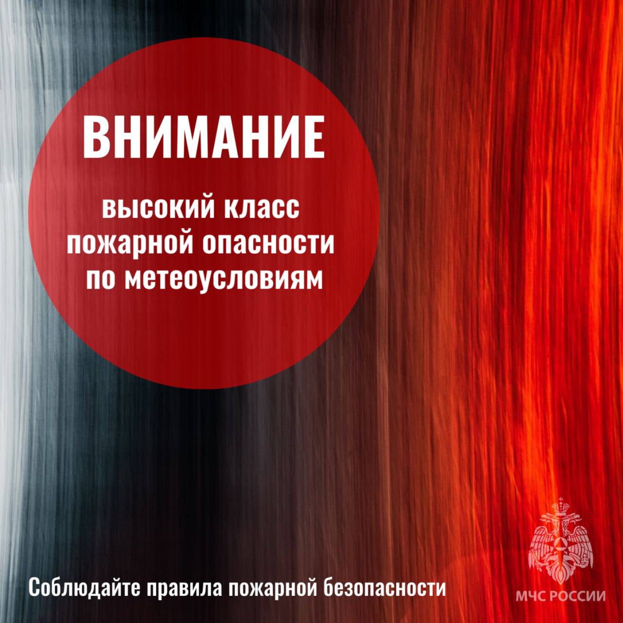 В 2 округах Приморья ожидается высокий класс пожарной опасности в лесах!.